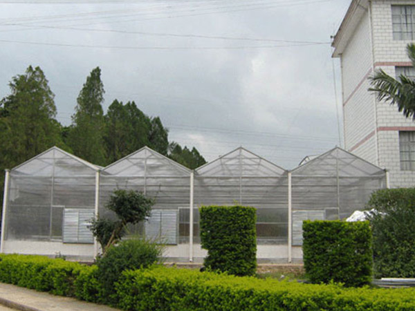 新疆陽(yáng)光板溫室大棚