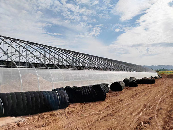 棗莊蔬菜日光大棚