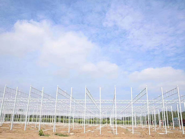 青島溫室大棚骨架建造