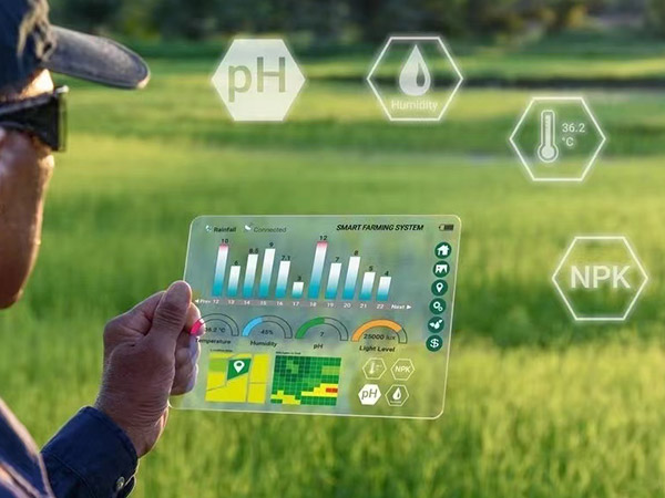 棗莊新型農(nóng)業(yè)智能化溫室大棚