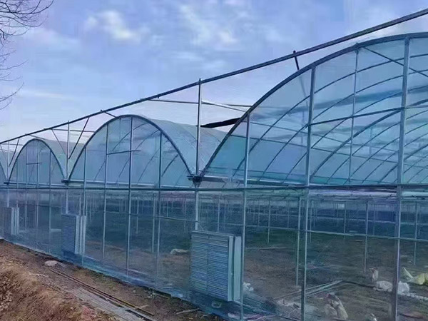 哈爾濱連棟薄膜大棚施工