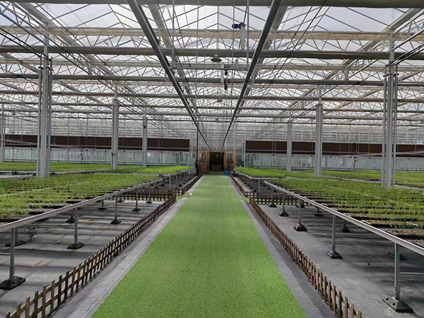 濟(jì)寧玻璃溫室