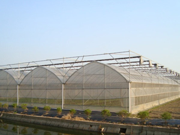 西藏連棟薄膜大棚