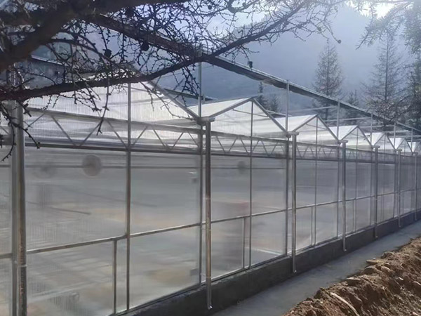 陽光板大棚建造