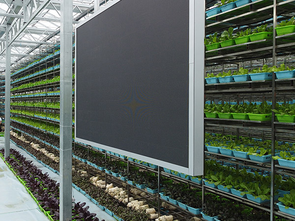 聊城物聯(lián)網(wǎng)控制系統(tǒng)